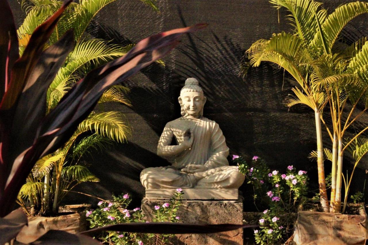 Lotus Sutra Ξενοδοχείο Arambol Εξωτερικό φωτογραφία